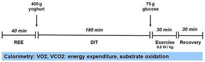 Metabolic Barriers to Weight Gain in Patients With Anorexia Nervosa: A Young Adult Case Report